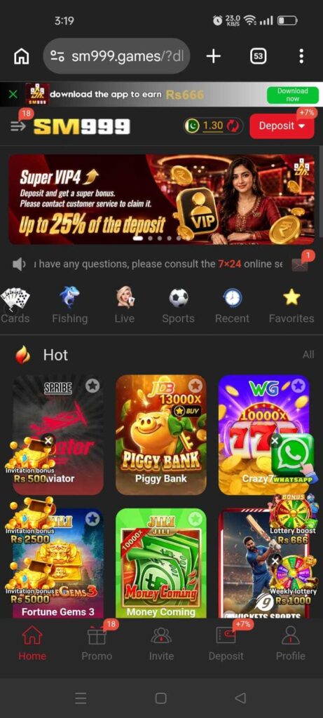 sm999 game homepage